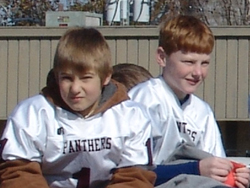 panthers